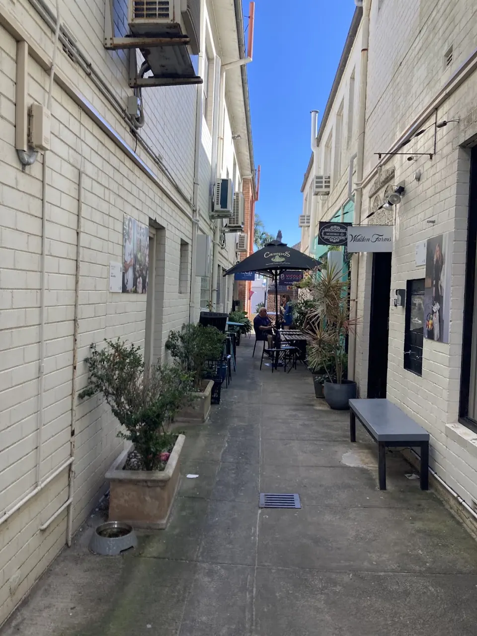 The laneway off New South Head Rd, Rose Bay